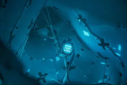 ZodiacBet Casino Mobile App